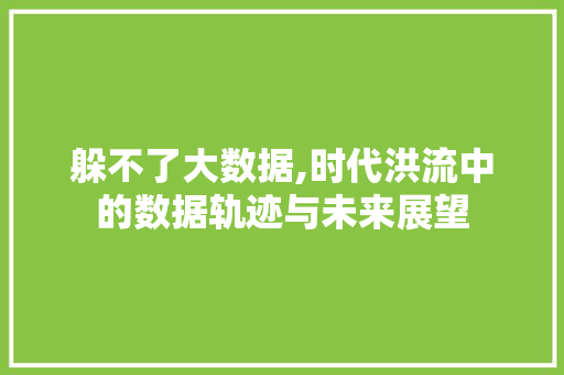 躲不了大数据,时代洪流中的数据轨迹与未来展望 百度SEO