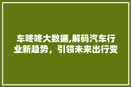 车咚咚大数据,解码汽车行业新趋势，引领未来出行变革 必应SEO
