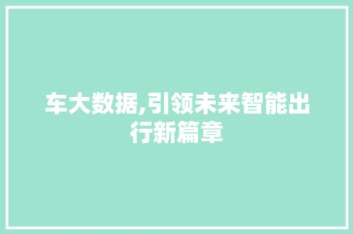 车大数据,引领未来智能出行新篇章 必应SEO