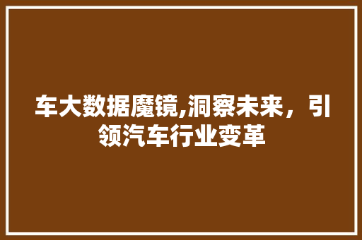 车大数据魔镜,洞察未来，引领汽车行业变革 百度SEO