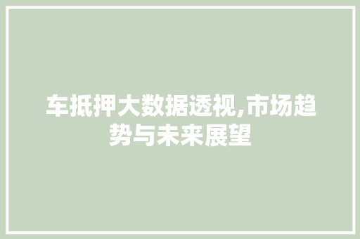 车抵押大数据透视,市场趋势与未来展望 百度SEO