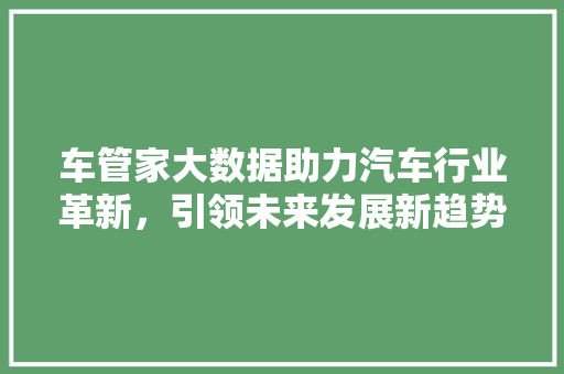 车管家大数据助力汽车行业革新，引领未来发展新趋势 搜狗SEO