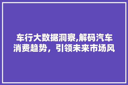 车行大数据洞察,解码汽车消费趋势，引领未来市场风向标 GoogleSEO