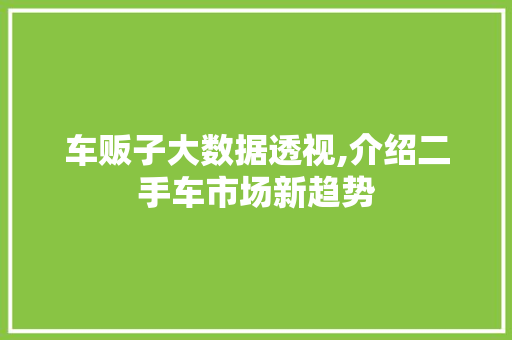 车贩子大数据透视,介绍二手车市场新趋势 百度SEO