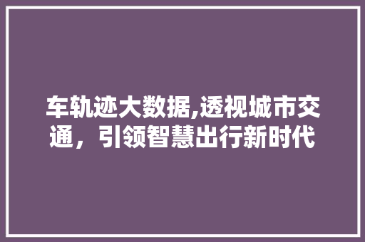 车轨迹大数据,透视城市交通，引领智慧出行新时代 必应SEO