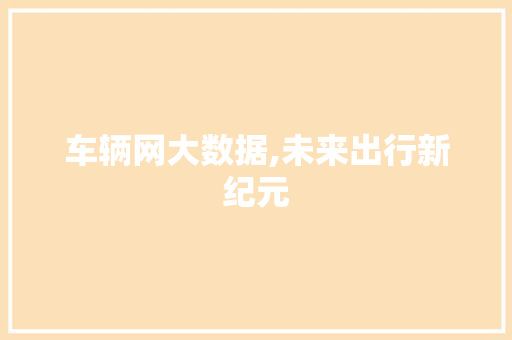 车辆网大数据,未来出行新纪元 必应SEO