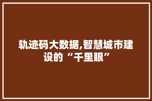 轨迹码大数据,智慧城市建设的“千里眼” 必应SEO