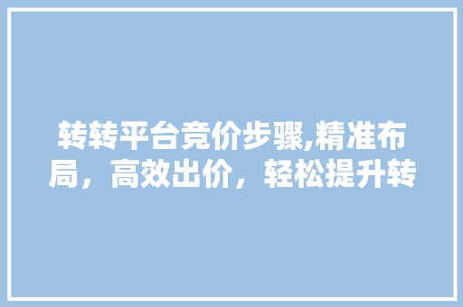 转转平台竞价步骤,精准布局，高效出价，轻松提升转化率 GoogleSEO