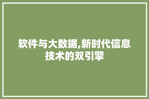 软件与大数据,新时代信息技术的双引擎 必应SEO