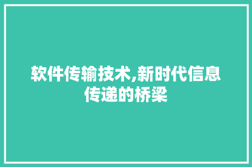 软件传输技术,新时代信息传递的桥梁 搜狗SEO