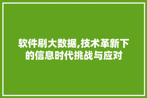 软件刷大数据,技术革新下的信息时代挑战与应对 神马SEO