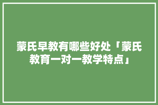 蒙氏早教有哪些好处「蒙氏教育一对一教学特点」 蒙氏早教有哪些好处「蒙氏教育一对一教学特点」 必应SEO