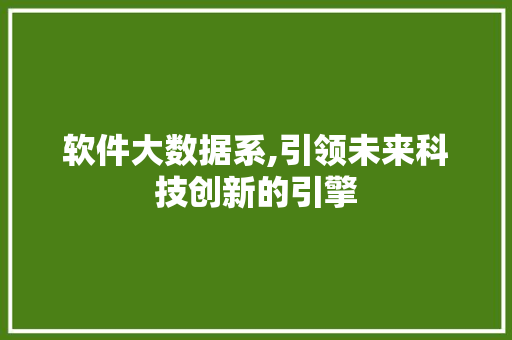软件大数据系,引领未来科技创新的引擎 神马SEO