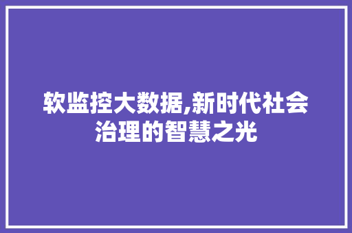 软监控大数据,新时代社会治理的智慧之光 神马SEO 软监控大数据,新时代社会治理的智慧之光 神马SEO