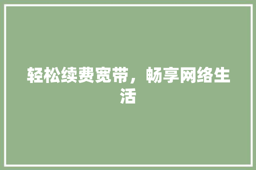 轻松续费宽带，畅享网络生活 神马SEO
