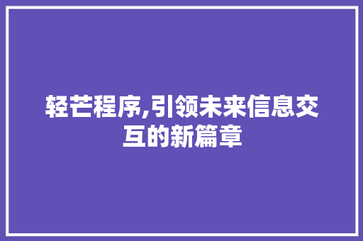 轻芒程序,引领未来信息交互的新篇章 百度SEO