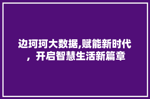 边珂珂大数据,赋能新时代，开启智慧生活新篇章 百度SEO