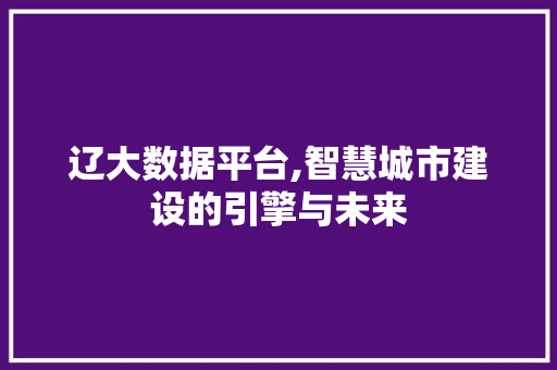 辽大数据平台,智慧城市建设的引擎与未来 必应SEO