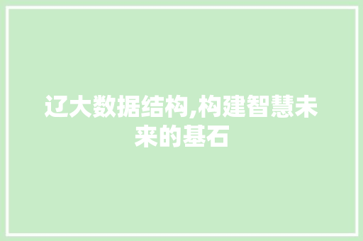 辽大数据结构,构建智慧未来的基石 GoogleSEO