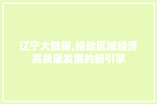 辽宁大数据,推动区域经济高质量发展的新引擎 必应SEO