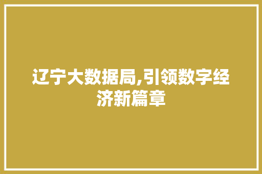 辽宁大数据局,引领数字经济新篇章 神马SEO