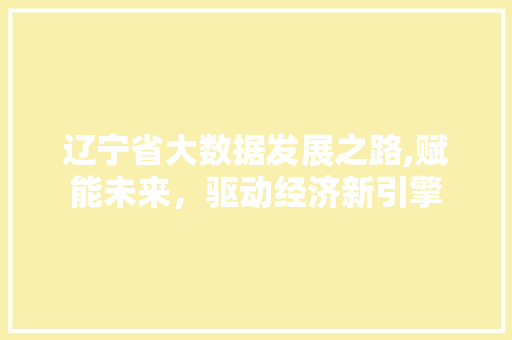 辽宁省大数据发展之路,赋能未来，驱动经济新引擎 百度SEO