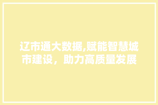 辽市通大数据,赋能智慧城市建设，助力高质量发展 神马SEO
