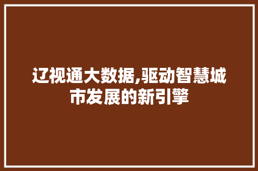 辽视通大数据,驱动智慧城市发展的新引擎 搜狗SEO