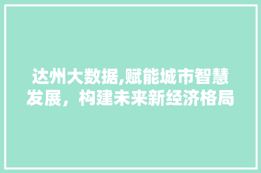 达州大数据,赋能城市智慧发展，构建未来新经济格局 神马SEO
