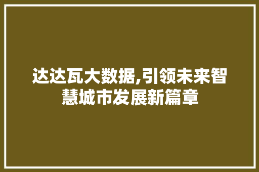 达达瓦大数据,引领未来智慧城市发展新篇章 百度SEO