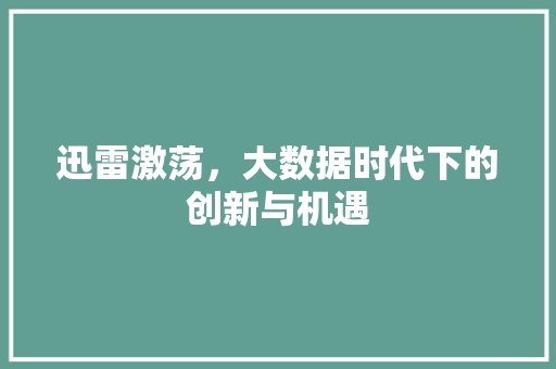 迅雷激荡，大数据时代下的创新与机遇 百度SEO