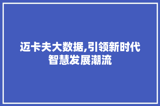 迈卡夫大数据,引领新时代智慧发展潮流 百度SEO