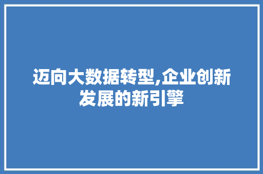 迈向大数据转型,企业创新发展的新引擎 GoogleSEO