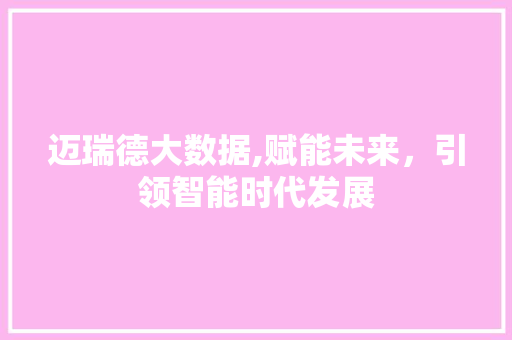 迈瑞德大数据,赋能未来，引领智能时代发展 GoogleSEO