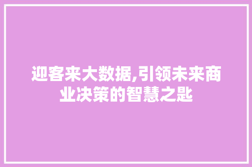 迎客来大数据,引领未来商业决策的智慧之匙 神马SEO
