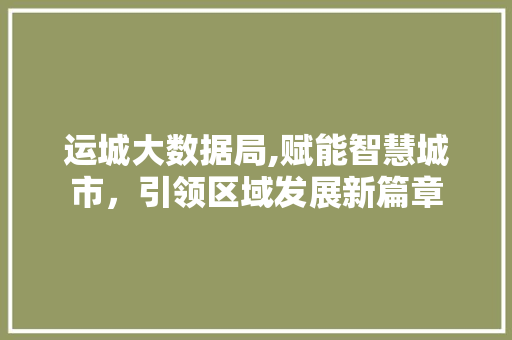 运城大数据局,赋能智慧城市，引领区域发展新篇章 GoogleSEO