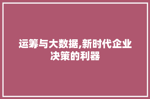 运筹与大数据,新时代企业决策的利器 神马SEO
