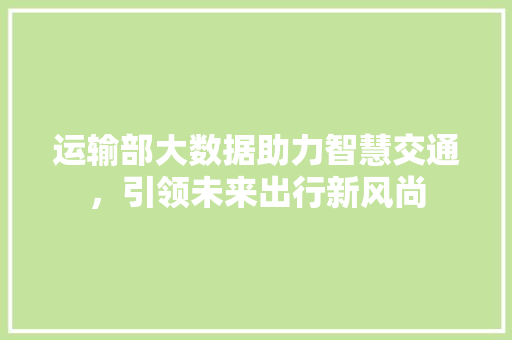 运输部大数据助力智慧交通，引领未来出行新风尚 GoogleSEO