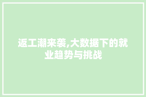 返工潮来袭,大数据下的就业趋势与挑战 神马SEO