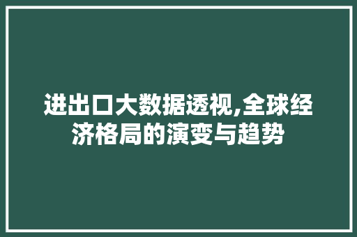 进出口大数据透视,全球经济格局的演变与趋势 必应SEO
