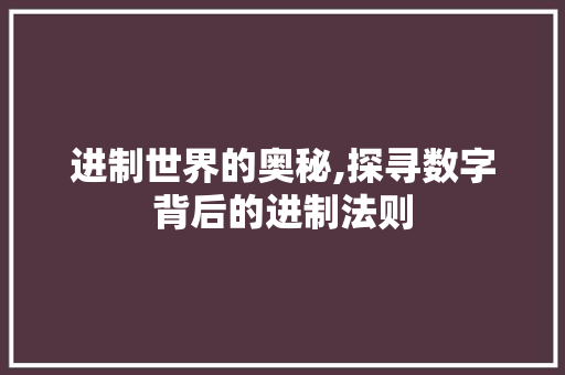进制世界的奥秘,探寻数字背后的进制法则 百度SEO