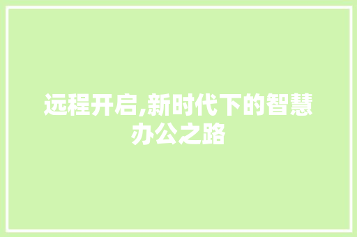 远程开启,新时代下的智慧办公之路 必应SEO