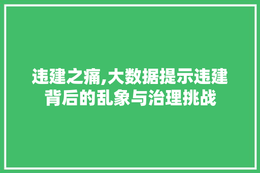 违建之痛,大数据提示违建背后的乱象与治理挑战 神马SEO