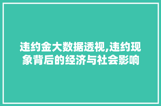 违约金大数据透视,违约现象背后的经济与社会影响 GoogleSEO