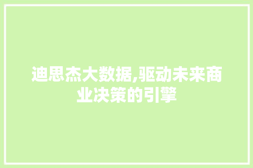 迪思杰大数据,驱动未来商业决策的引擎 百度SEO