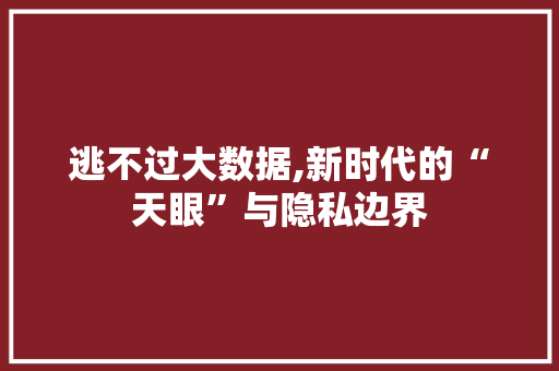 逃不过大数据,新时代的“天眼”与隐私边界