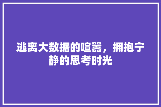 逃离大数据的喧嚣，拥抱宁静的思考时光 必应SEO