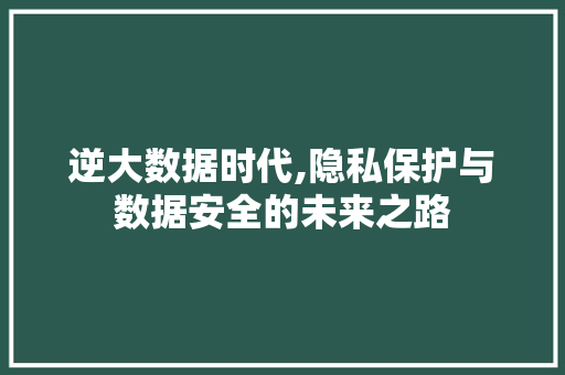 逆大数据时代,隐私保护与数据安全的未来之路 百度SEO