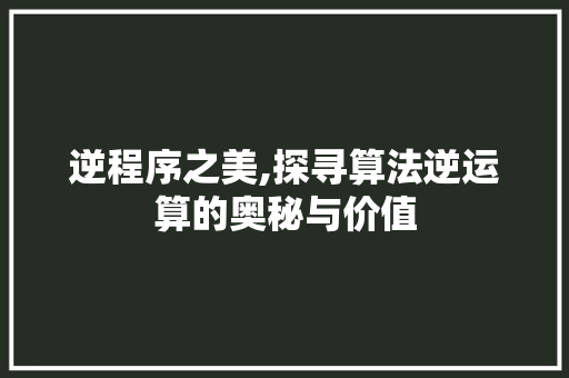 逆程序之美,探寻算法逆运算的奥秘与价值 必应SEO