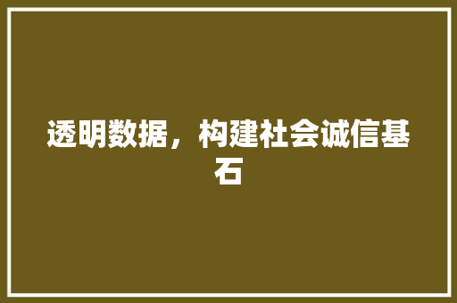 透明数据，构建社会诚信基石 GoogleSEO